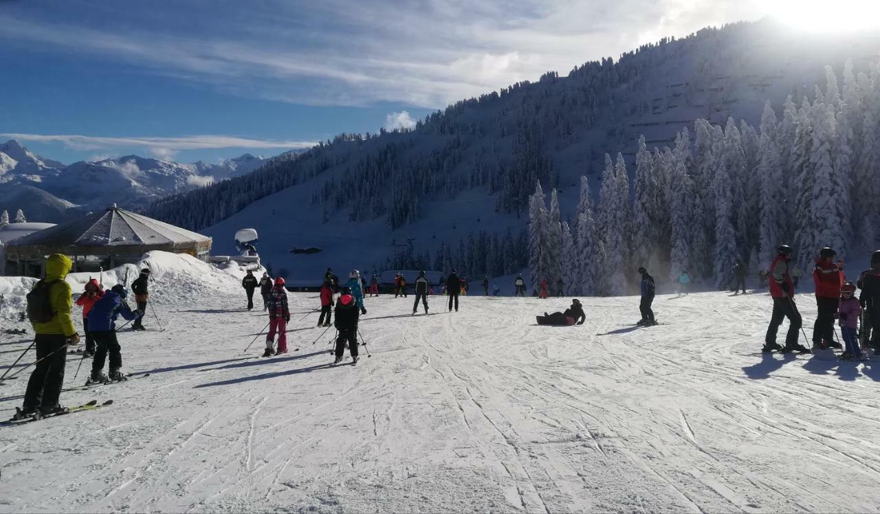 Apart Gerlossteinblick Aschau Im Zillertal Exterior foto